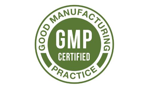 Renew Dental Support - GMP
