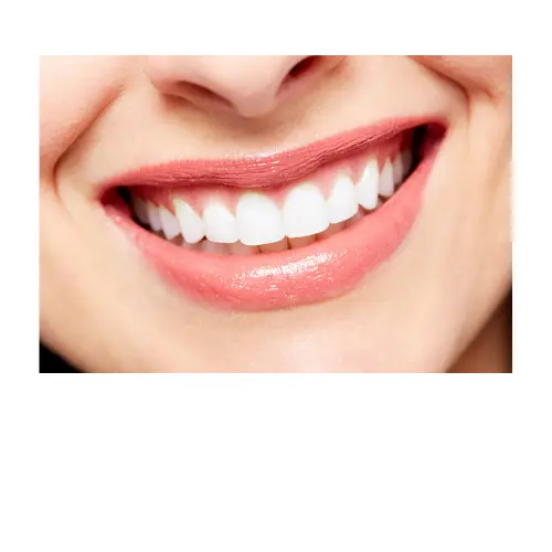 Renew Dental Support supplement